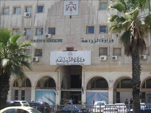 الزراعة توعز بفتح المحميات الرعوية لمربي الثروة الحيوانية الزراعة توعز بفتح المحميات الرعوية لمربي الثروة الحيوانية