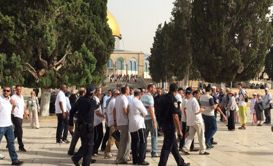 الأوقاف الفلسطينية تندد بانتهاك حرمة الأقصى من قبل الاحتلال ومستوطنيه الأوقاف الفلسطينية تندد بانتهاك حرمة الأقصى من قبل الاحتلال ومستوطنيه
