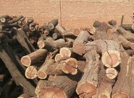 دخول الشحنة الاولى من الحطب المستورد من اوكرانيا