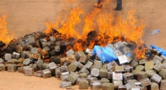 اتلاف 3 أطنان تبغ في إربد