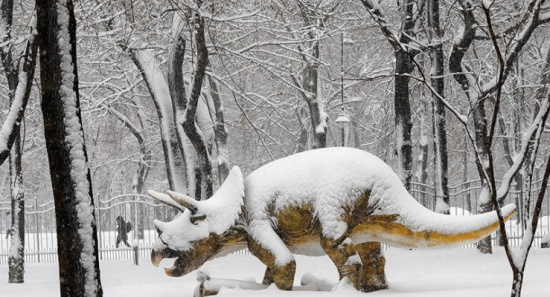 اكتشاف أضخم آثار أقدام لكائن عملاق