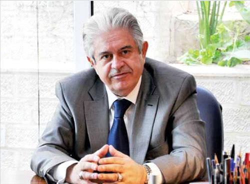 محادين: الاهتمام الملكي ذلل المعيقات امام "العقبة الخاصة" لتحقيق اهدافها