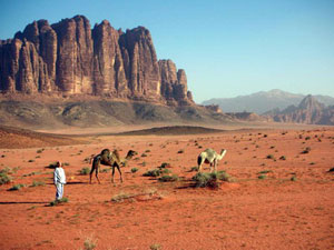 جامعة الشرق الأوسط تحتفل باختيار منطقة رم ضمن قائمة اليونسكو 