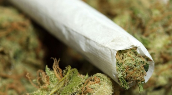 الحشيش يضعف الذاكرة ويقلل القدرة على التعلم