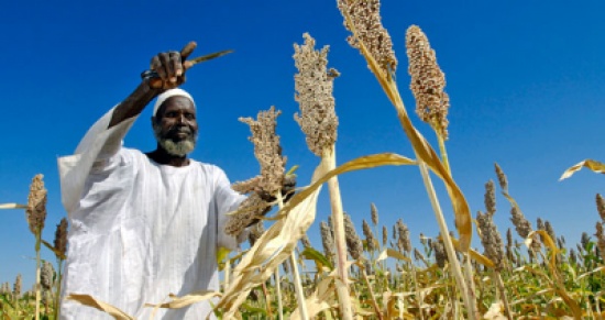 بدء فعاليات مؤتمر دولي يبحث الامن الغذائي والتغذية بدء فعاليات مؤتمر دولي يبحث الامن الغذائي والتغذية