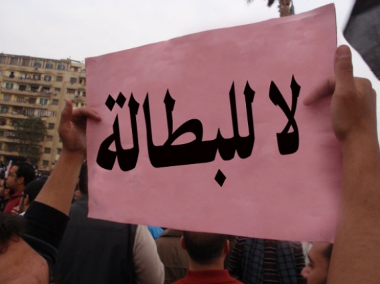 برنامج الأمم المتحدة يطلق برنامج المشروعات الصغيرة ومبادرات للحد من البطالة