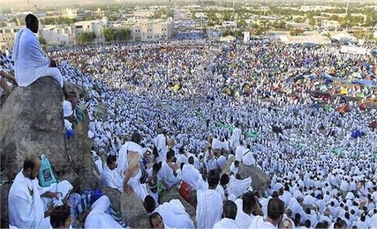 الخلايلة: استكمال تفويج الحجاج الأردنيين لصعيد عرفات الخلايلة: استكمال تفويج الحجاج الأردنيين لصعيد عرفات