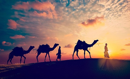 محاضرة بعنوان "سباعية النهضة من وحي الهجرة النبوية" محاضرة بعنوان "سباعية النهضة من وحي الهجرة النبوية"