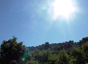 الحرارة 50 درجة بالاغوار الوسطى 