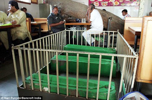 بالصور.. مطعم هندي يحتوي بداخله على قبور مسلمين !