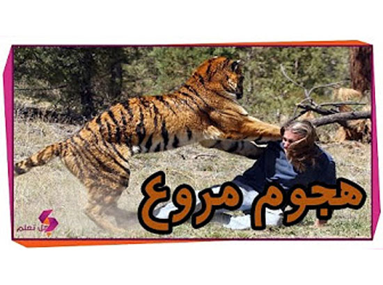 بالفيديو : 9 حيوانات تتعمد صيادة البشر