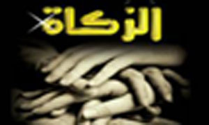 صندوق الزكاة يوزع قسائم غذاء وكساء في الاغوار الشمالية صندوق الزكاة يوزع قسائم غذاء وكساء في الاغوار الشمالية