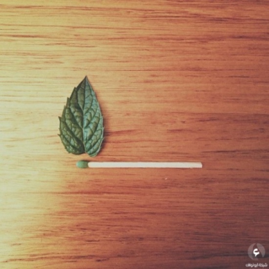 بالصور.. أعمال إبداعية بأفكار بسيطة
