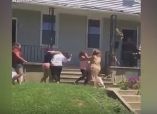 الفيديو: كلاب تشارك في مشاجرة حامية بين 4 نساء