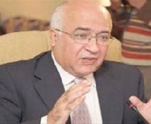 المعايطة: لا ديمقراطية دون أحزاب سياسية