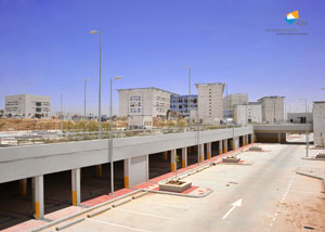 الجامعة الألمانية الأردنية وجامعة برلين الحرة ينظمان دورة تدريبية في السياسة الدولية  