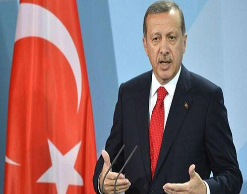 أردوغان: الإرهاب يحاول شق الصف التركي