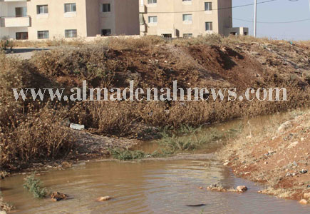 ظهور نهر مفاجئ في منطقة النعيمة بالقرب من إسكان بدر ( فيديو ) 