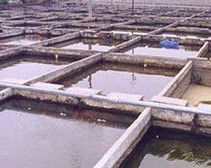 انخفاض مستوى الاحواض المائية في المفرق 40 مترا