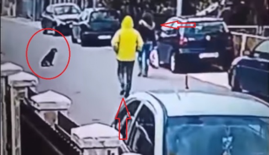 فيديو| كلب يحمي سيدة من لص في الشارع !