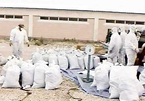 أفغانستان: مصادرة أضخم كمية متفجرات في شاحنة