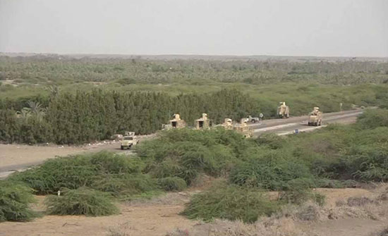 تأمين جنوبي الحديدة.. وتساقط قادة حوثيين