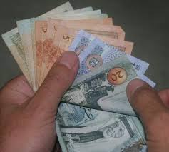 ارتفاع المحفظة الإقراضية لشركات التمويل الأصغر بالمحافظات مقارنة مع العاصمة