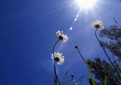 طقس لطيف حتى الاثنين