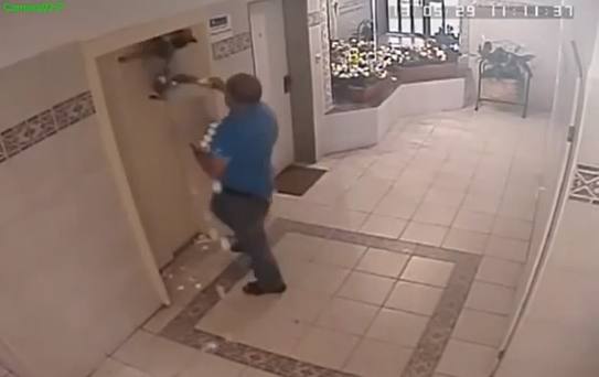 كلب يعلق في باب الاصنصير !!