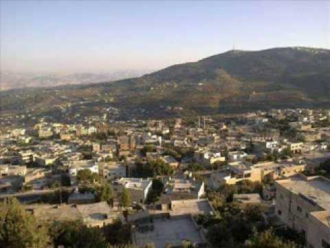 أبناء قرية ريمون يطالبون بتحسين البنية التحتية ( بيان )