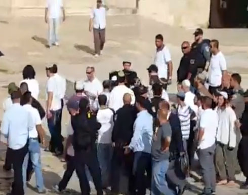 وزير الاوقاف يدين اقتحامات اسرائيل للأقصى وزير الاوقاف يدين اقتحامات اسرائيل للأقصى