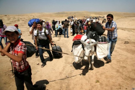 مسؤول في الأمم المتحدة: المجتمع الدولي فشل في سورية