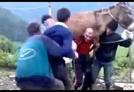 يحمل حماراً فوق رأسه لإثبات رجولته