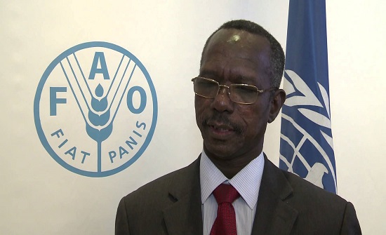 سفراء الدول العربية يعلنون الموقف الرسمي تجاه ما يحدث في السودان سفراء الدول العربية يعلنون الموقف الرسمي تجاه ما يحدث في السودان