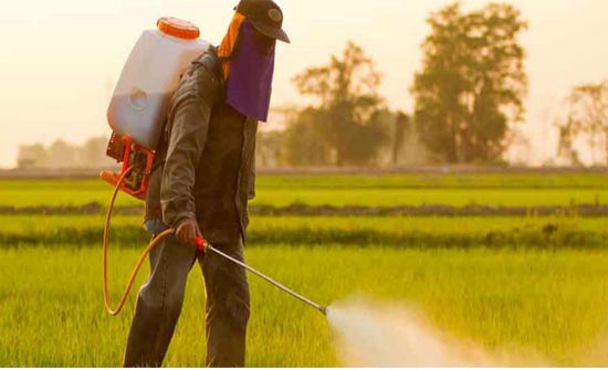 محاضرة عن المشاهدات الإرشادية للمكافحة الحيوية والأسمدة العضوية في الرصيفة