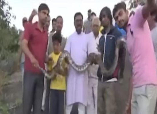 بالفيديو: ثعبان ضخم ينقض على شاب أثناء التقاط سيلفي معه