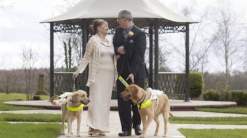 تزوجا بعد صداقةٍ وطيدة بين كلبيهما