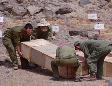 الجيش الإسرائيلي يسلم رفات أربعة فلسطينيين احتجزتهم لسنوات في مقابر الأرقام الجيش الإسرائيلي يسلم رفات أربعة فلسطينيين احتجزتهم لسنوات في مقابر الأرقام