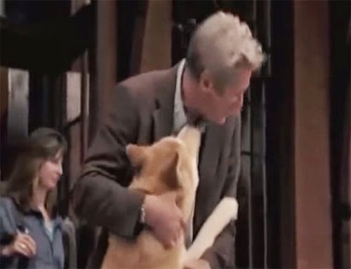 شاهد.. وفاء "كلب" يبكي الملايين