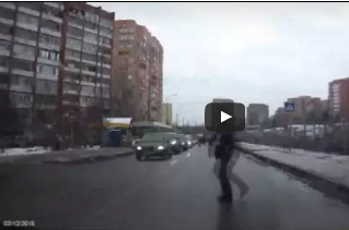 شاهد..  رجل يساعد جرو في عبور الطريق