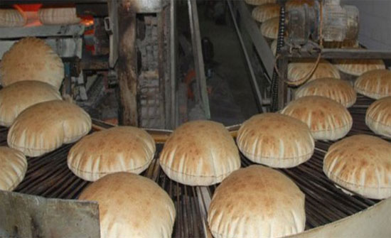 الحموي يطالب بتخفيض سعر الطحين لوقف خسائر المخابز الحموي يطالب بتخفيض سعر الطحين لوقف خسائر المخابز