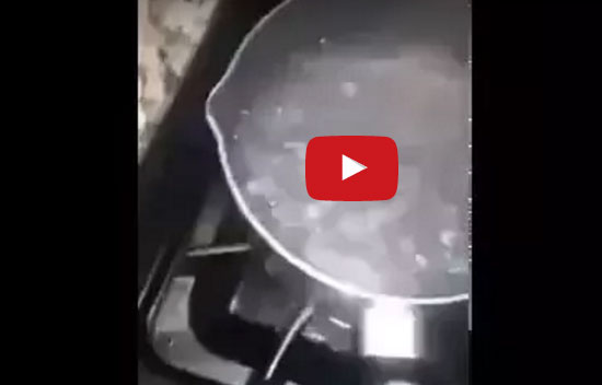 فيديو صادم .. شاب يحرق قطة أزعجته بالماء المغلى فيديو صادم .. شاب يحرق قطة أزعجته بالماء المغلى