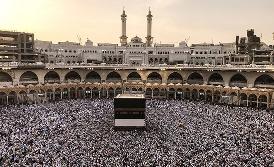 السعودية تضبط 10 آلاف حاج لا يحملون تأشيرات السعودية تضبط 10 آلاف حاج لا يحملون تأشيرات