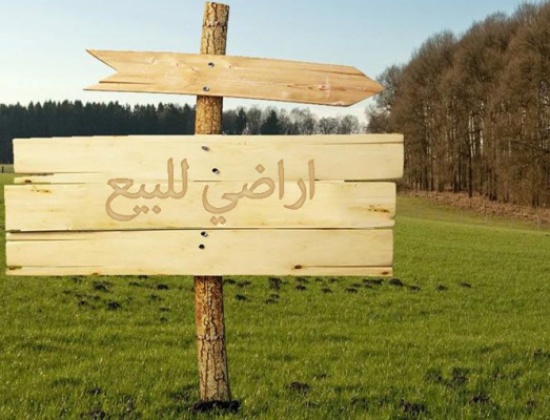 "المعلمين" في الزرقاء تعلن عن توفر قطع أراضي للبيع بالتقسيط