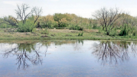 الازرق: تكريم ذوي الاعاقة "أصحاب الهمم" بمخيم مريجيب الفهود