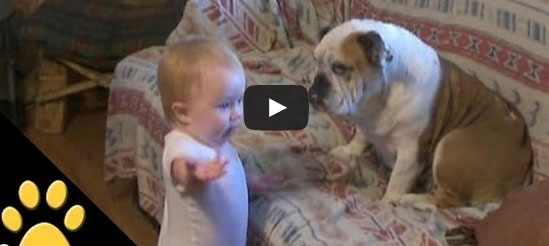 رضيع يعاقب كلباً على طريقته