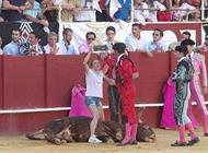 بالفيديو: ناشطة تقفز إلى الحلبة لحماية ثور يلفظ أنفاسه الأخيرة