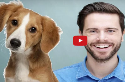 بالفيديو : الفرق بين الكلاب والبشر