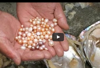 امرأة محظوظة حازت على ثروة بالصدفة!