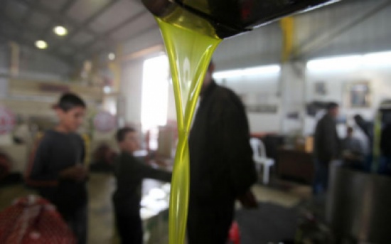 زيت الزيتون .... سعر الصفيحة 70 دينارا وتحذيرات